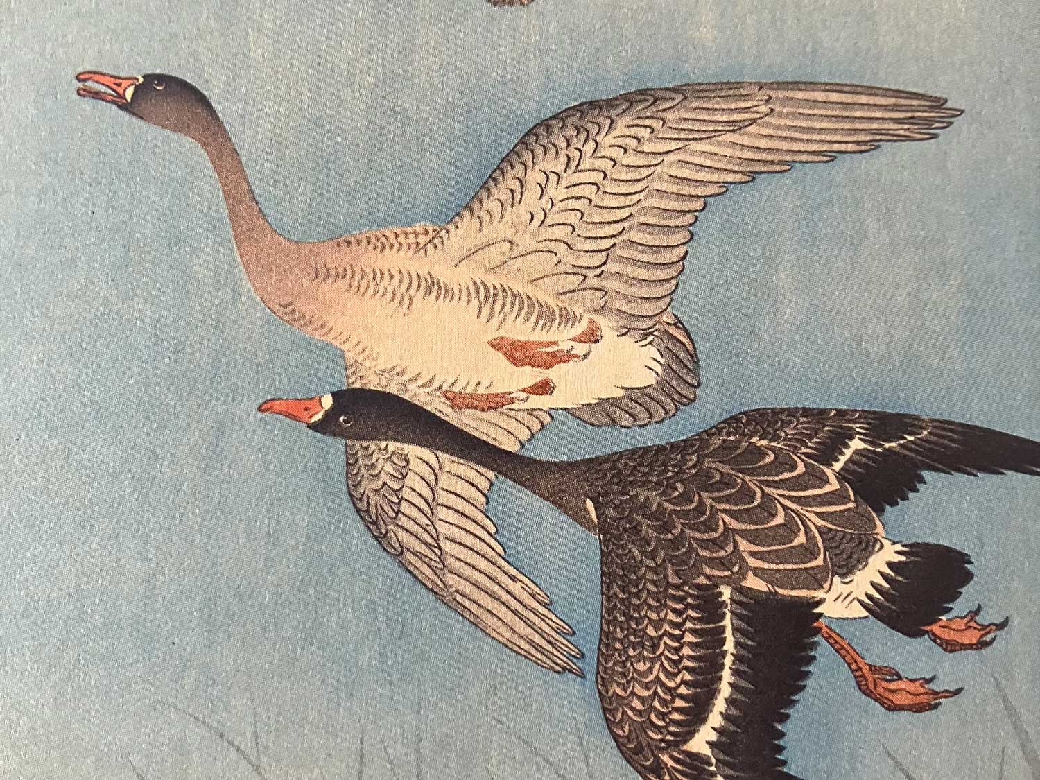 Patos